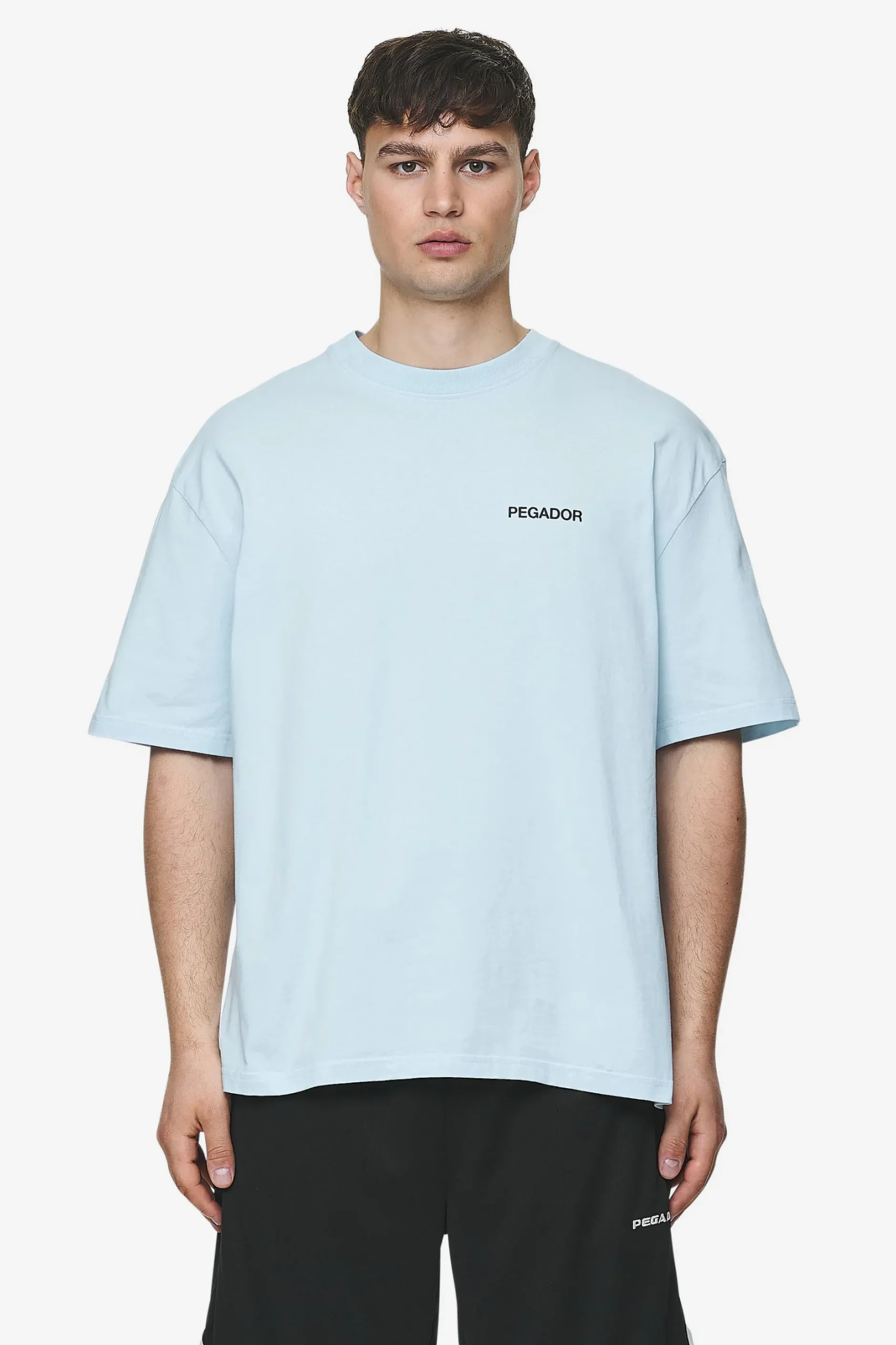 Pegador Aleso Oversized Tee