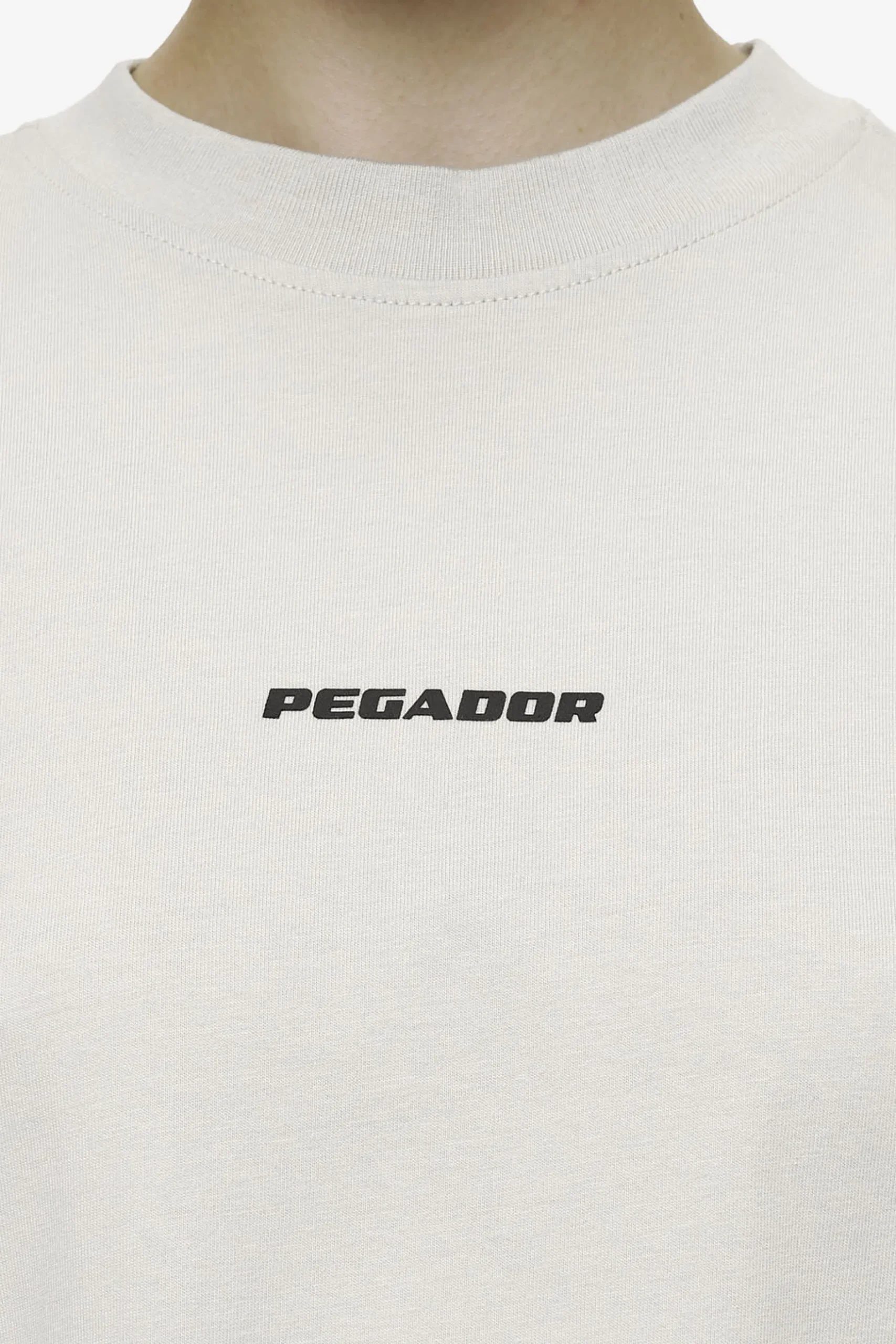 Pegador Bracy Heavy Oversized Tee Black Gum