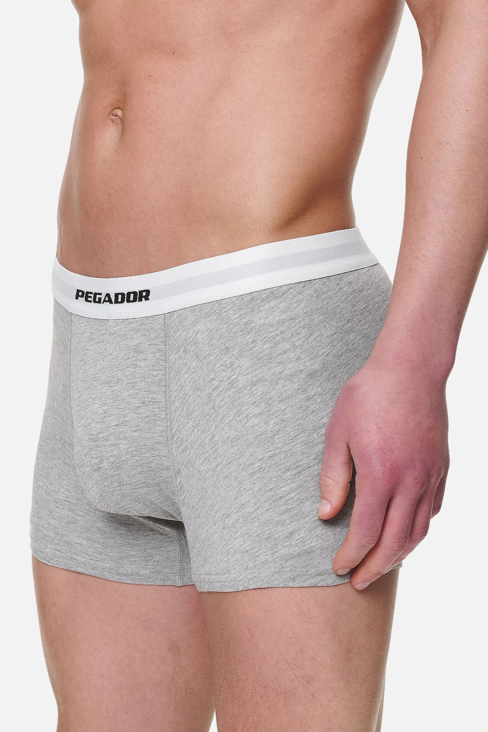 Pegador Camino Boxershorts Single Logo 3 Pack