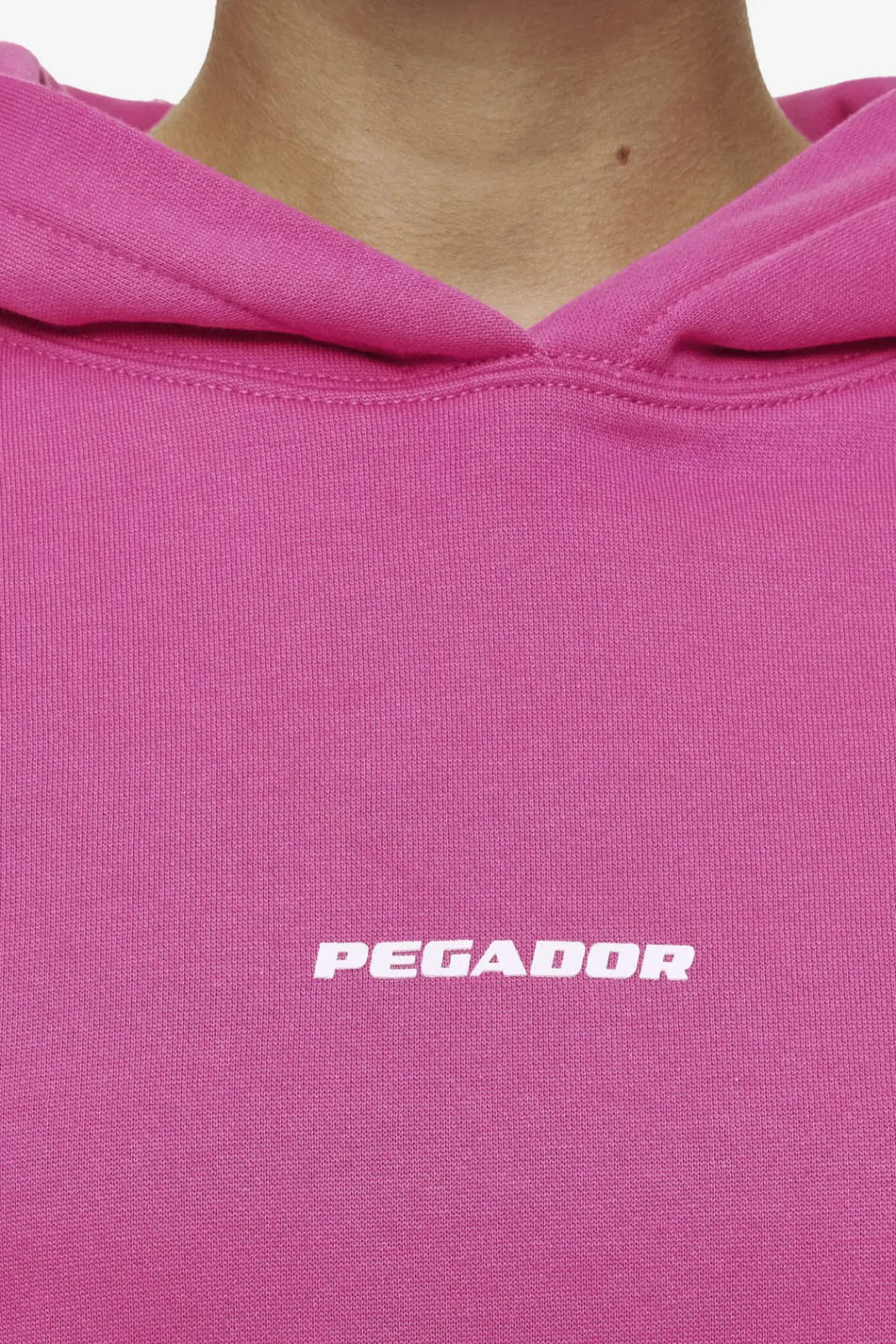 Pegador Clarita Logo Oversized Hoodie