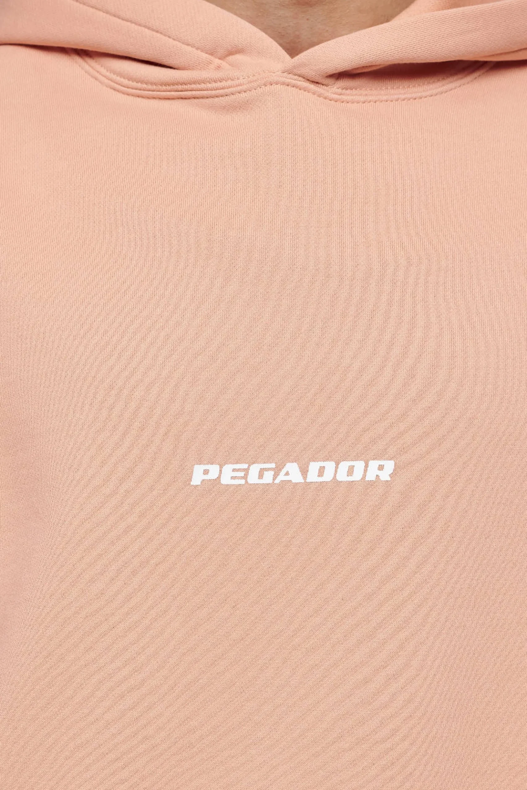 Pegador Colne Logo Oversized Hoodie