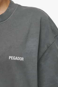 Pegador Gulati Oversized Tee Vintage Grey
