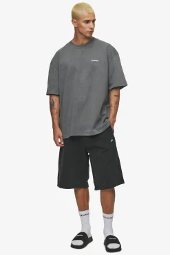 Pegador Gulati Oversized Tee Vintage Grey