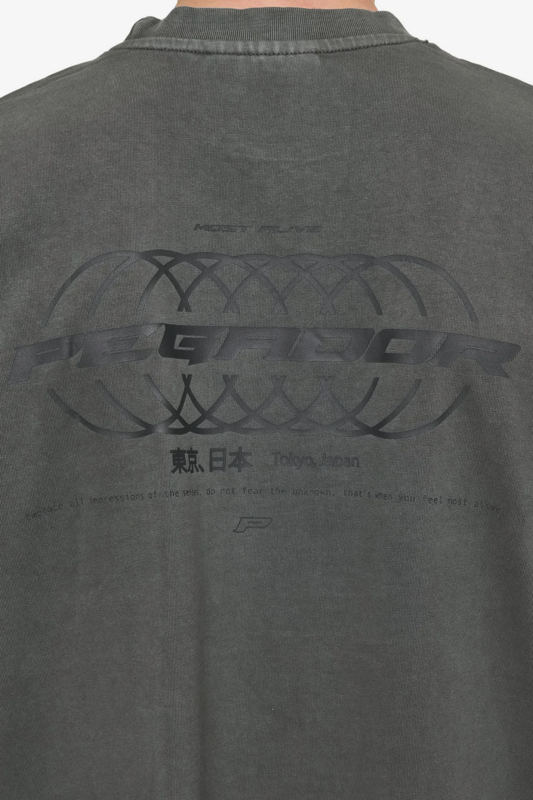 Pegador Lance Oversized Tee Vintage Anthracite