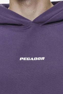 Pegador Logo Boxy Hoodie