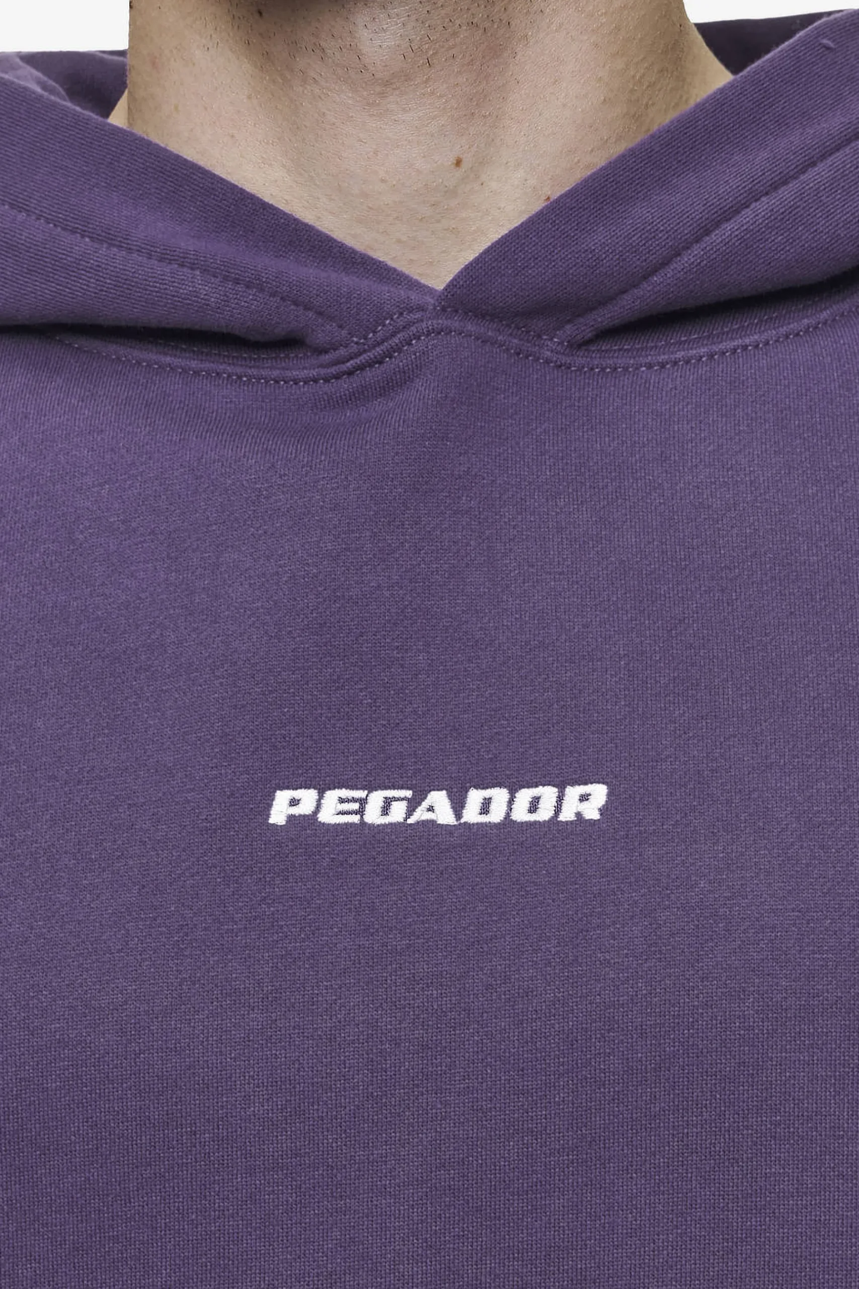 Pegador Logo Boxy Hoodie