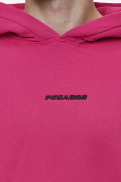 Pegador Logo Boxy Hoodie