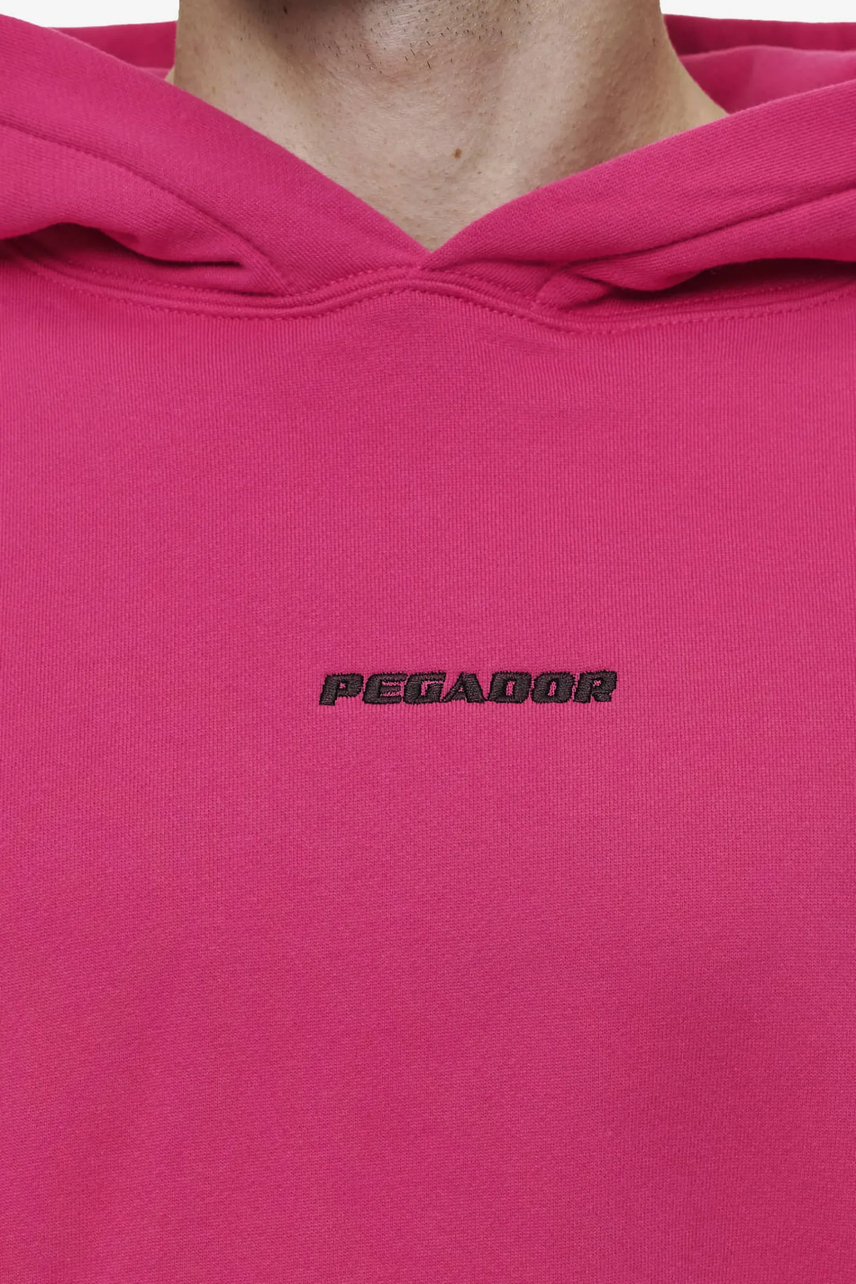 Pegador Logo Boxy Hoodie