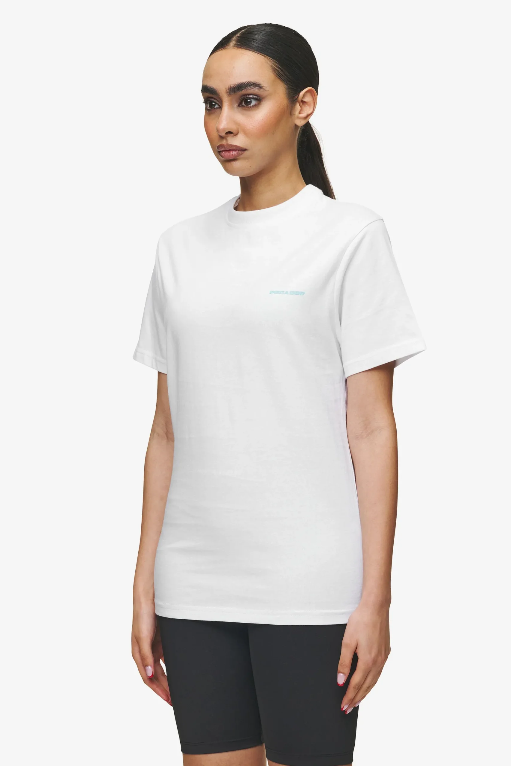 Pegador Logo Slim Tee White Sky Blue