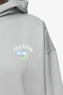 Pegador Lucia Oversized Hoodie Washed Sky Grey