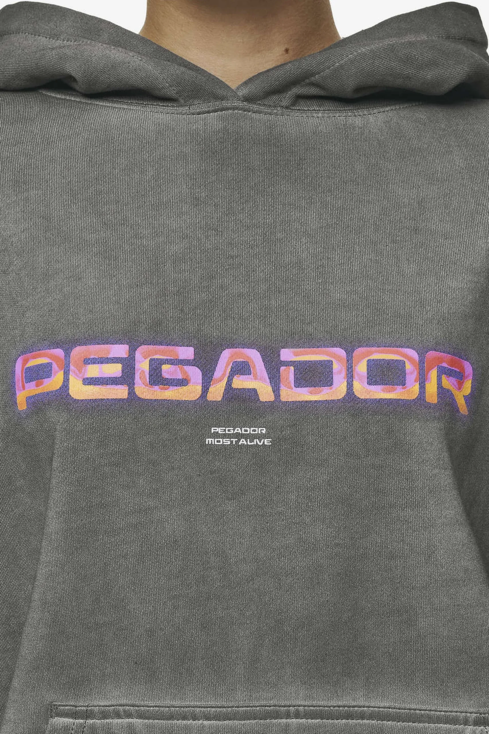 Pegador Lui Sprayed Oversized Hoodie Oil Dyed Deep Grey