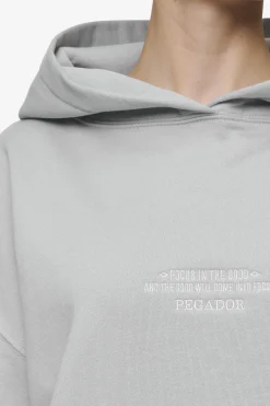 Pegador Naia Oversized Hoodie Washed Sky Grey
