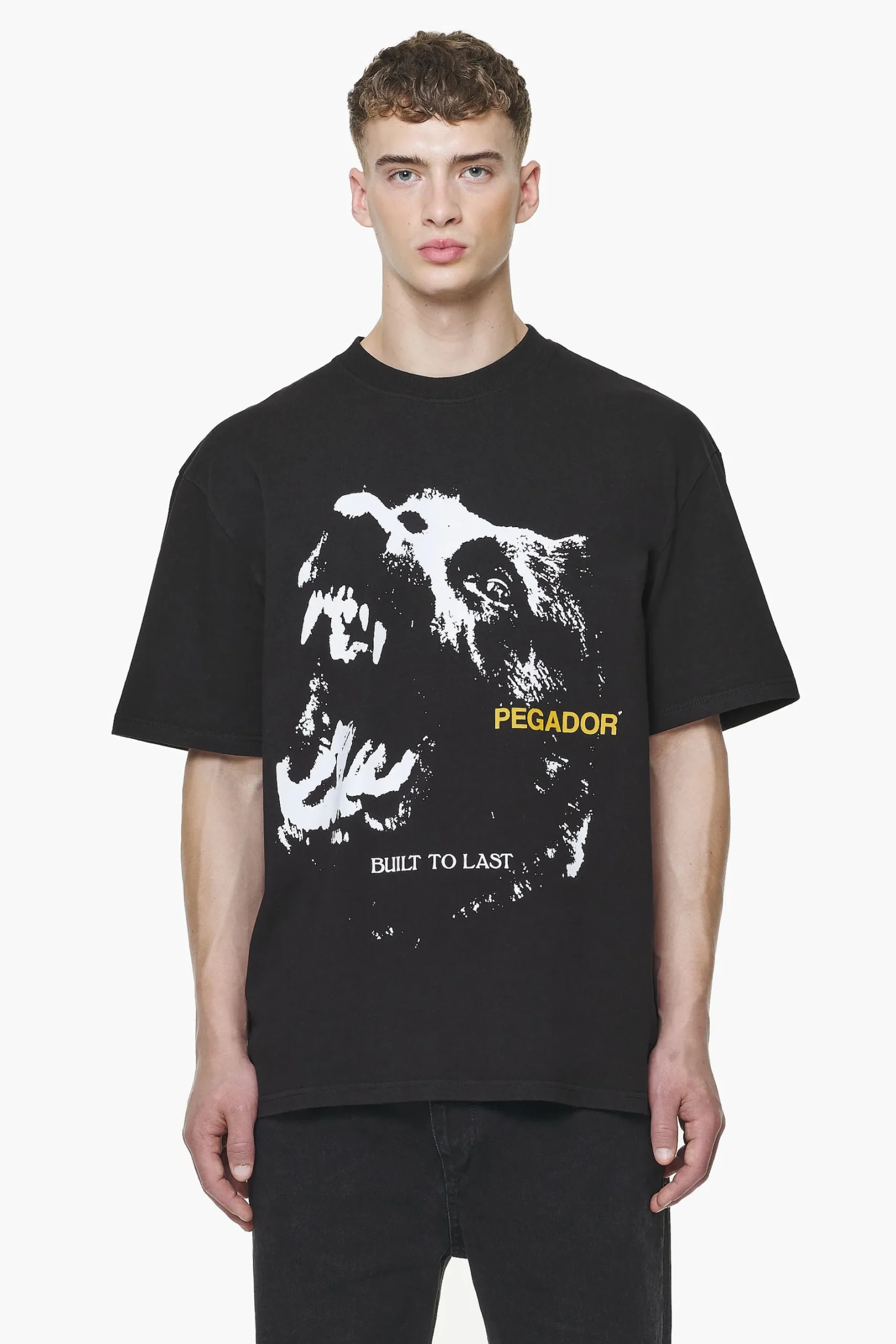 Pegador Nether Oversized Tee Vintage Washed Onyx Black