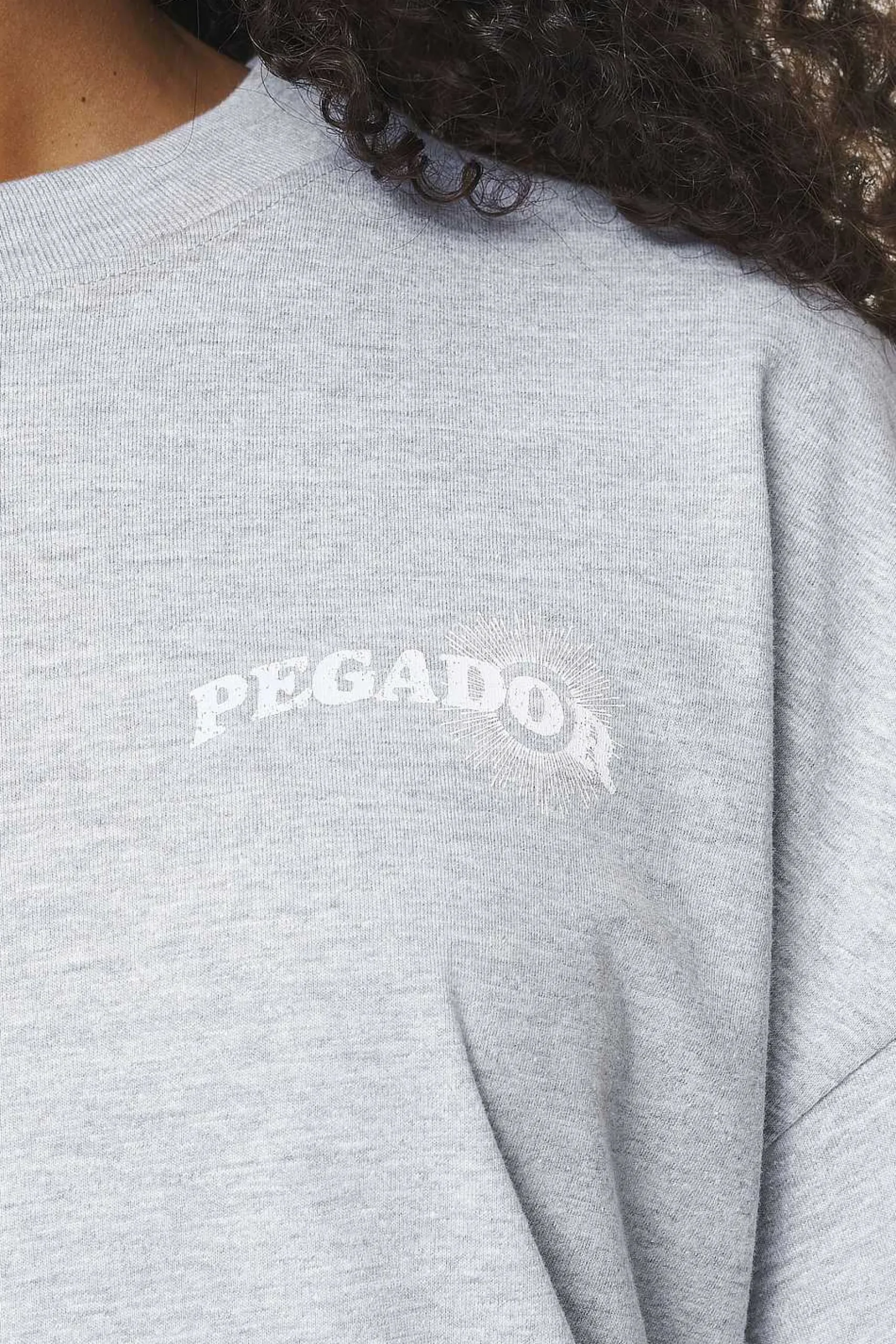 Pegador Pall Heavy Oversized Tee