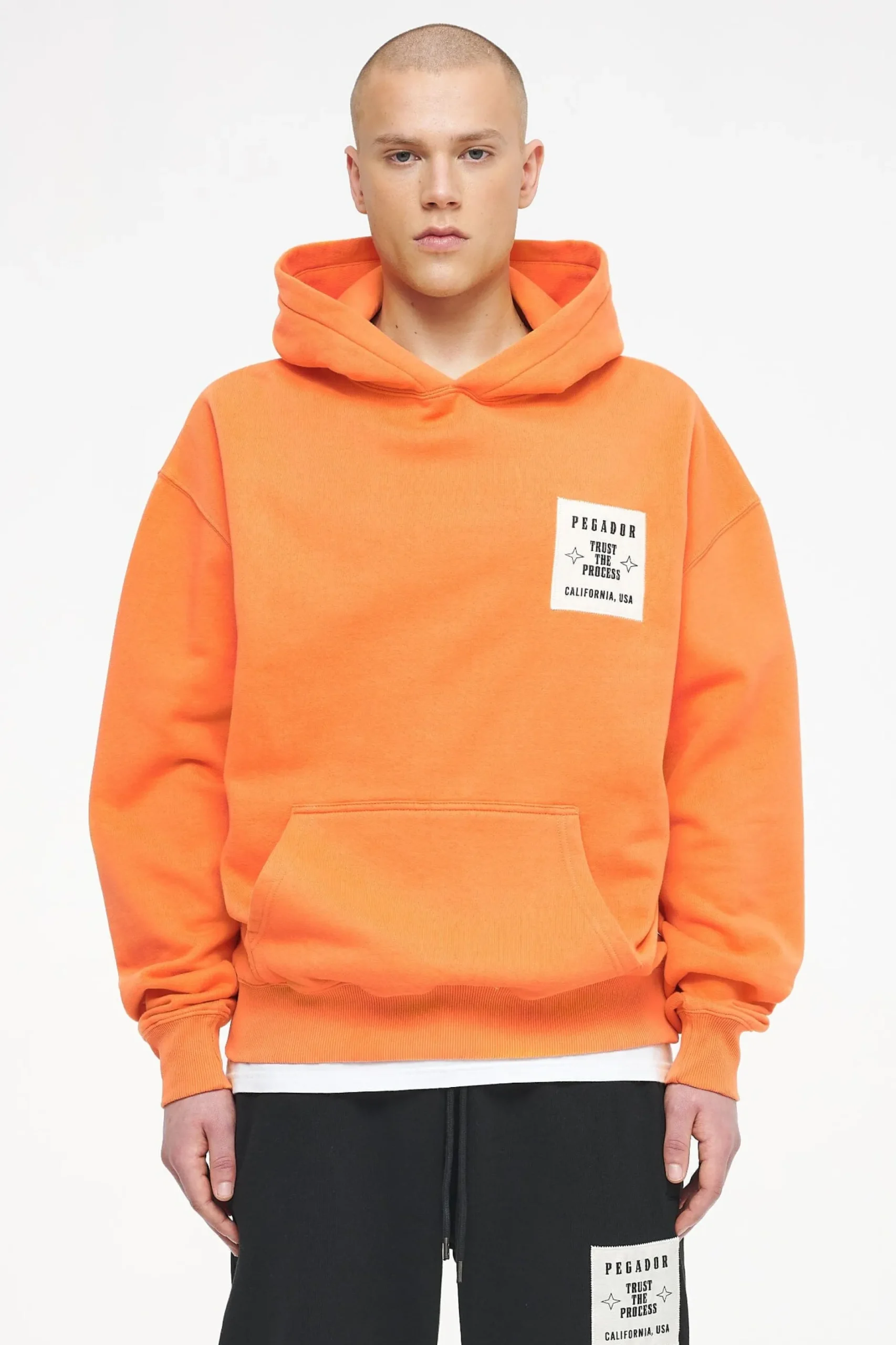 Pegador Salal Oversized Hoodie