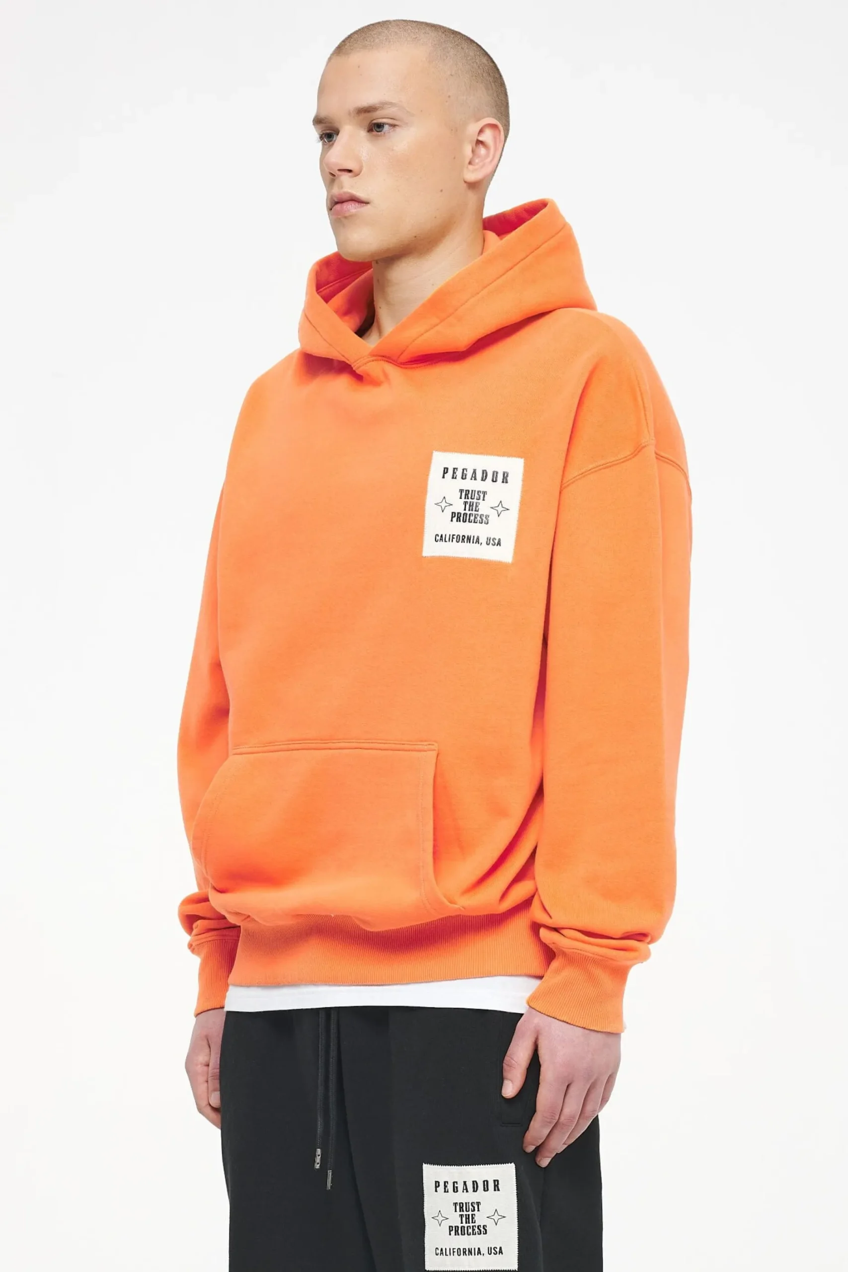 Pegador Salal Oversized Hoodie