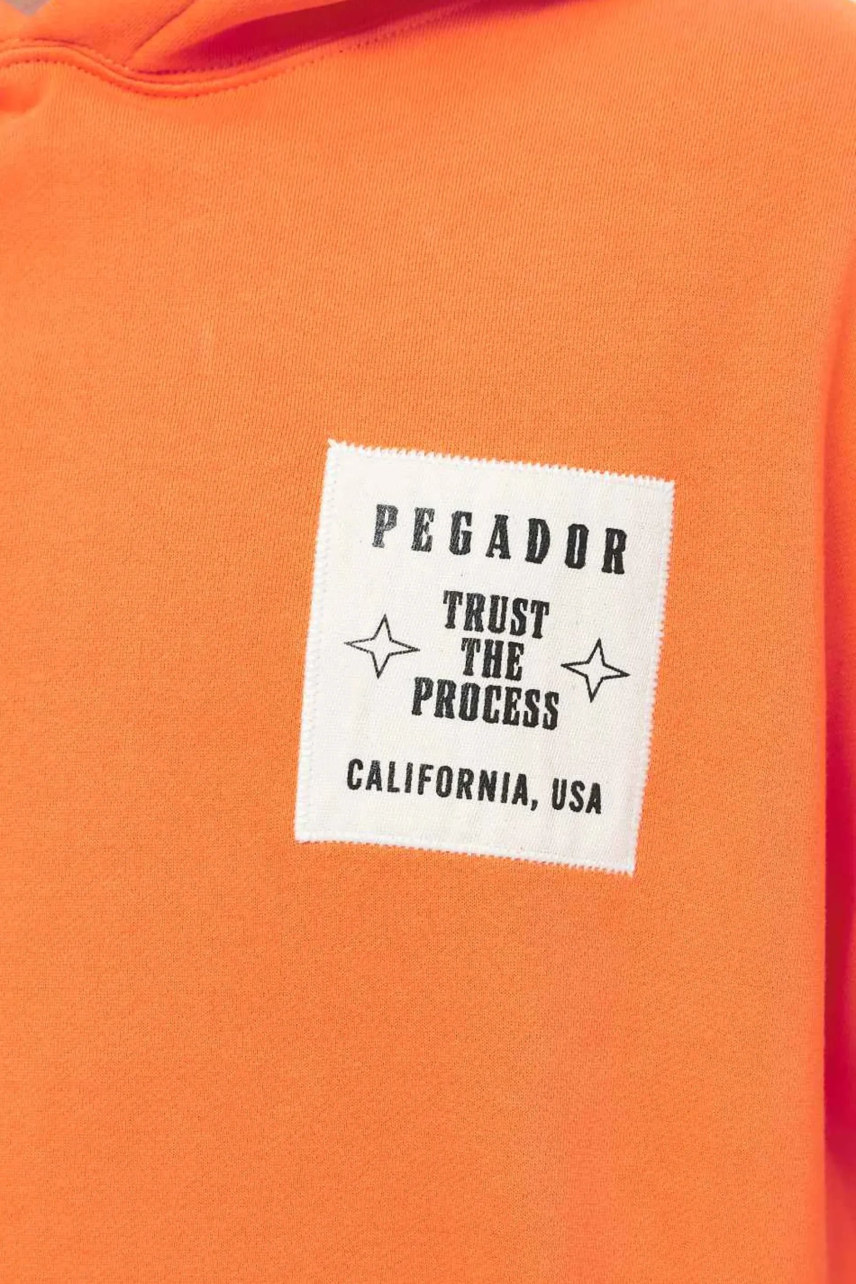 Pegador Salal Oversized Hoodie