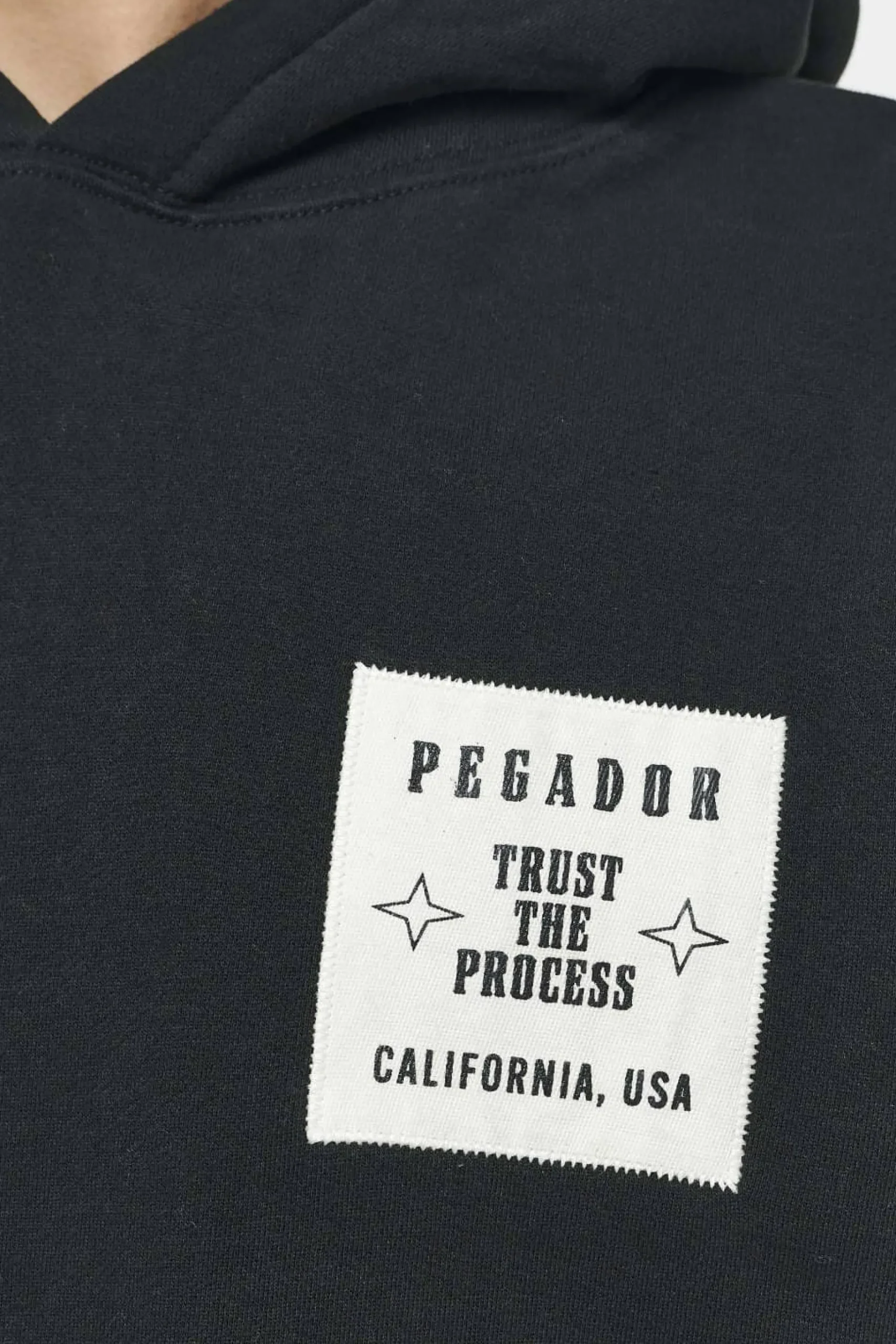 Pegador Salal Oversized Hoodie