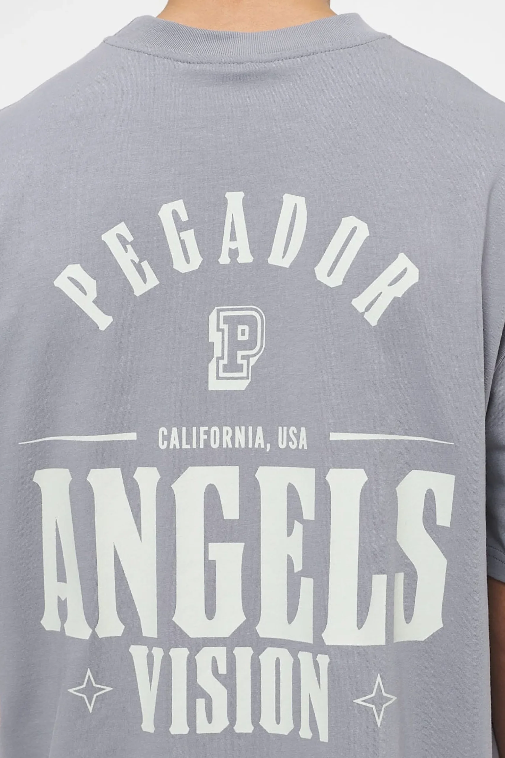 Pegador Salal Oversized Tee