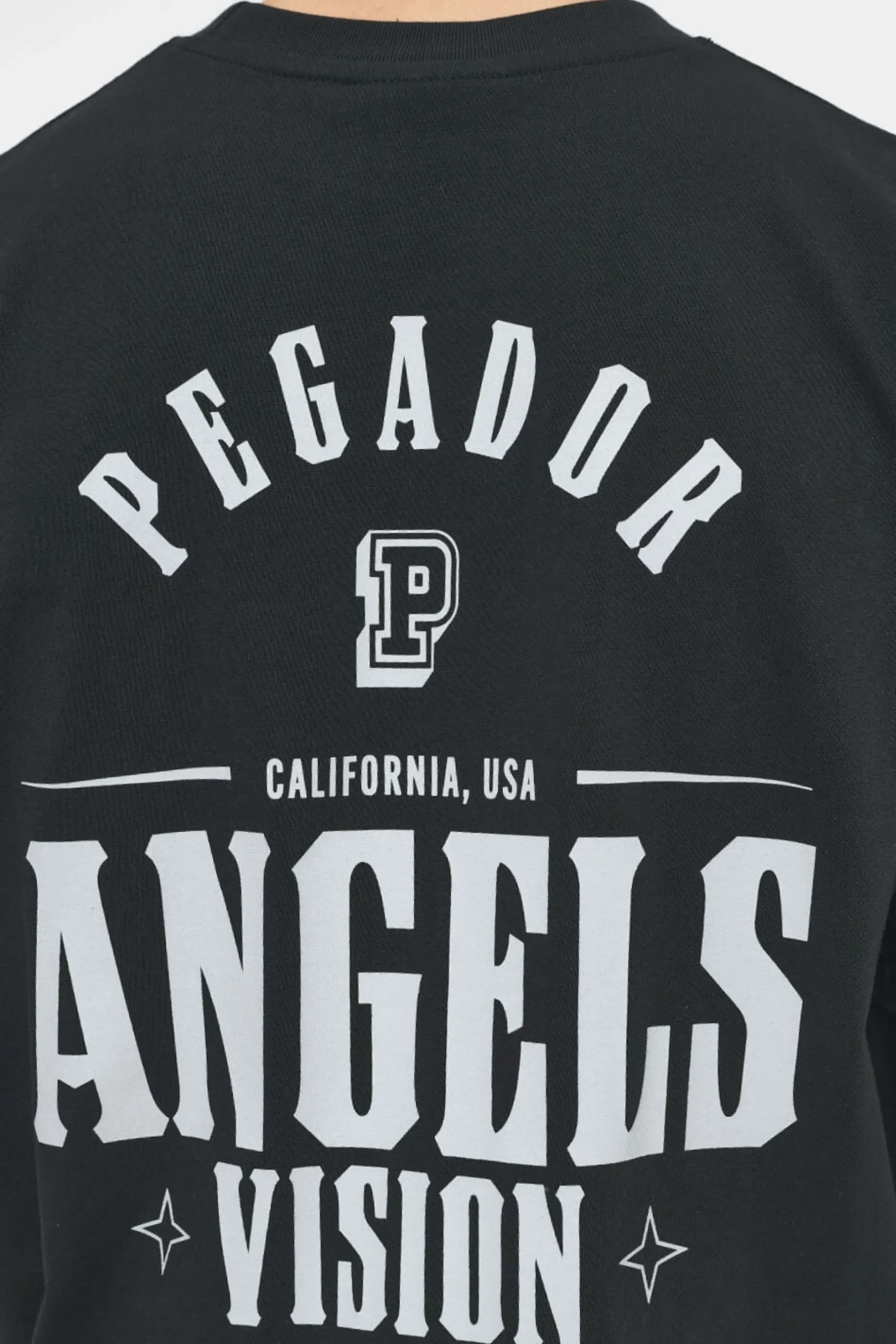 Pegador Salal Oversized Tee