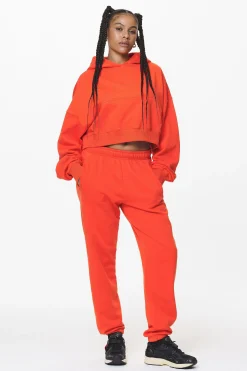 Pegador Salita Oversized Cropped Hoodie