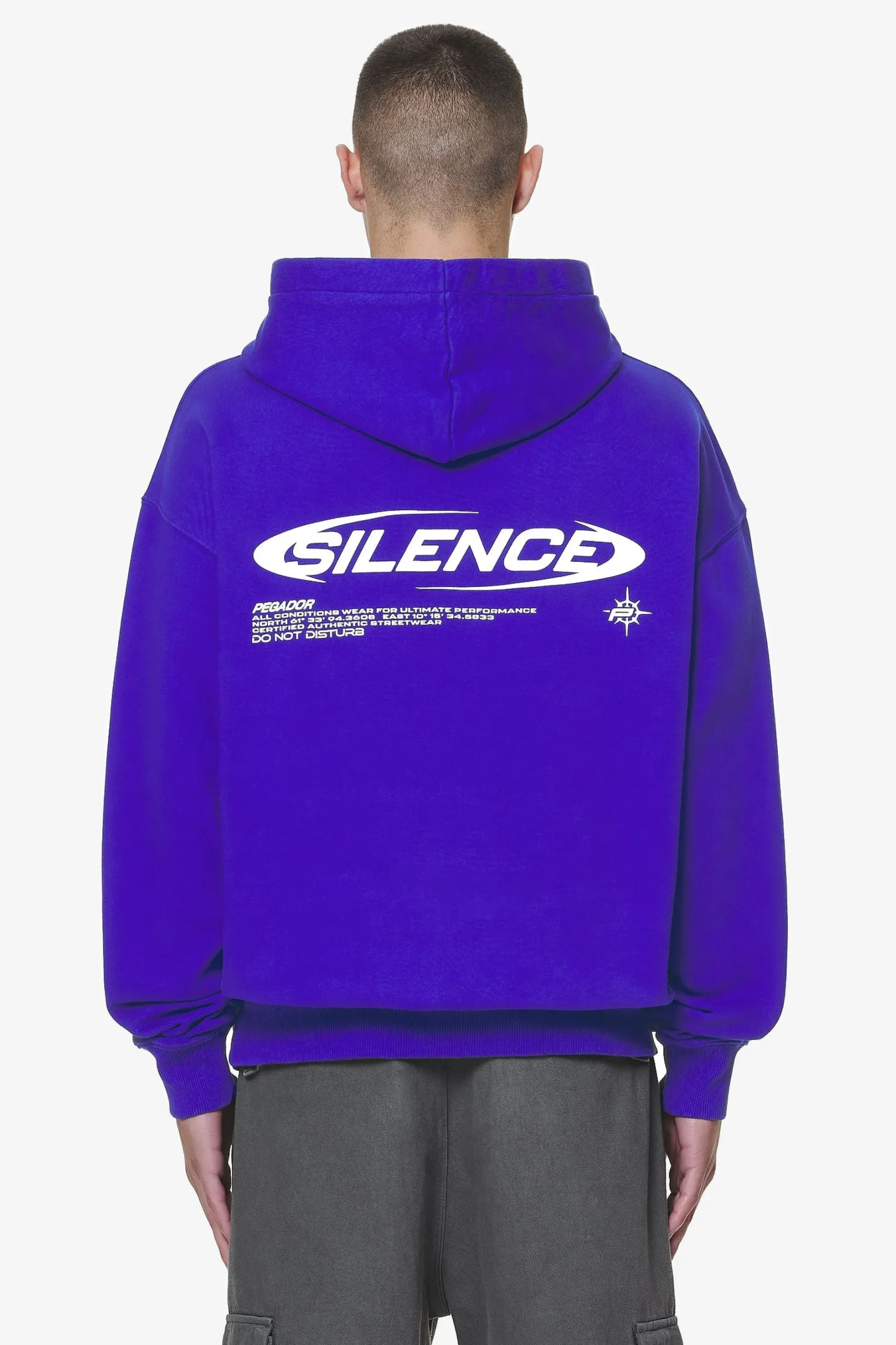 Pegador Sanit Oversized Hoodie Washed Endless Blue